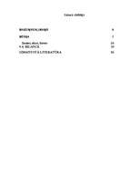 Biznesa plāns 'SIA "Mini maiznīca"', 1.