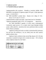 Biznesa plāns 'SIA "Mini maiznīca"', 3.