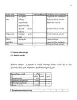 Biznesa plāns 'SIA "Mini maiznīca"', 15.