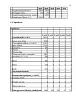 Biznesa plāns 'SIA "Mini maiznīca"', 16.