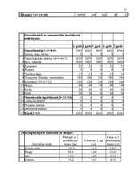 Biznesa plāns 'SIA "Mini maiznīca"', 17.