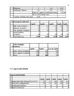 Biznesa plāns 'SIA "Mini maiznīca"', 18.