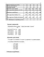 Biznesa plāns 'SIA "Mini maiznīca"', 19.