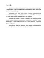 Diplomdarbs 'E-komercijas izmantošana brokastu viesnīcu produktu virzībai tirgū', 4.