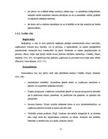 Diplomdarbs 'E-komercijas izmantošana brokastu viesnīcu produktu virzībai tirgū', 29.