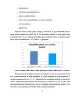 Diplomdarbs 'E-komercijas izmantošana brokastu viesnīcu produktu virzībai tirgū', 65.