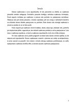 Referāts 'Pirmā iespaida veidošana par uzņēmumu', 1.