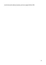 Referāts 'Pirmā iespaida veidošana par uzņēmumu', 8.