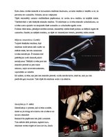 Referāts 'Seksualitāte reklāmā', 5.