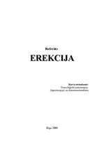 Referāts 'Erekcija', 1.