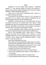 Diplomdarbs 'Apdrošināšanas sabiedrības "Seesam Latvia" darbības analīze', 5.