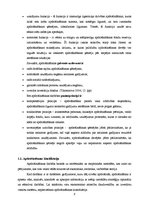 Diplomdarbs 'Apdrošināšanas sabiedrības "Seesam Latvia" darbības analīze', 8.