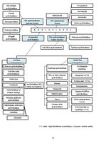 Diplomdarbs 'Apdrošināšanas sabiedrības "Seesam Latvia" darbības analīze', 13.