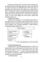 Diplomdarbs 'Apdrošināšanas sabiedrības "Seesam Latvia" darbības analīze', 15.