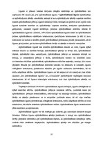 Diplomdarbs 'Apdrošināšanas sabiedrības "Seesam Latvia" darbības analīze', 20.