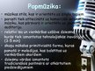 Prezentācija 'Popmūzika. Grupa "Musiqq"', 2.