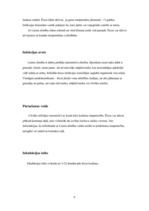 Referāts 'Laimas slimība jeb Laimas borelioze', 6.