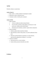 Referāts 'Laimas slimība jeb Laimas borelioze', 7.