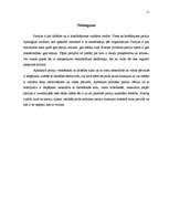 Referāts 'Politiskās partijas, to klasifikācija', 11.