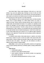 Referāts 'Prakses darbs mārketingā', 2.