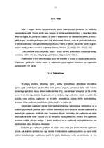 Referāts 'Prakses darbs mārketingā', 10.