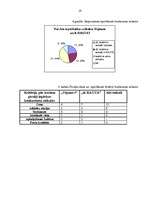 Referāts 'Prakses darbs mārketingā', 18.