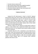 Referāts 'Prakses darbs mārketingā', 27.