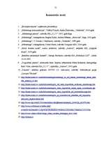 Referāts 'Prakses darbs mārketingā', 30.