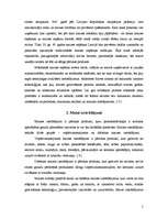 Referāts 'Maizes ražošana', 5.