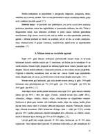 Referāts 'Maizes ražošana', 10.