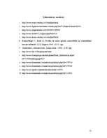 Referāts 'Maizes ražošana', 12.