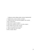 Prakses atskaite 'Pirmsskolas izglītības iestāžu metodiķa prakses atskaite', 20.