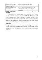 Prakses atskaite 'Pirmsskolas izglītības iestāžu metodiķa prakses atskaite', 30.