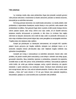 Eseja 'Kāpu zonas problemātika Rīgas jūras piekrastē', 4.