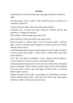 Diplomdarbs 'Sestās klases skolēnu angļu valodas apguves sekmēšana ar didaktiskām spēlēm', 1.