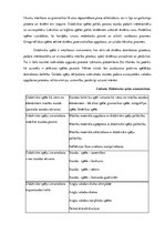 Diplomdarbs 'Sestās klases skolēnu angļu valodas apguves sekmēšana ar didaktiskām spēlēm', 10.