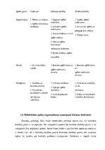 Diplomdarbs 'Sestās klases skolēnu angļu valodas apguves sekmēšana ar didaktiskām spēlēm', 13.