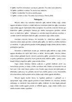 Diplomdarbs 'Sestās klases skolēnu angļu valodas apguves sekmēšana ar didaktiskām spēlēm', 42.