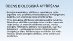 Prezentācija 'Biotehnoloģiju jēdziens. Biotehnoloģiju saikne ar zinātni un ražošanu', 14.