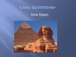 Prezentācija 'Lini', 3.