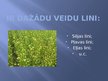 Prezentācija 'Lini', 5.