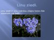 Prezentācija 'Lini', 7.