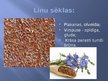 Prezentācija 'Lini', 9.