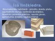 Prezentācija 'Lini', 12.