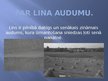Prezentācija 'Lini', 15.