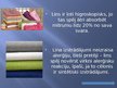 Prezentācija 'Lini', 20.