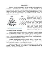 Konspekts 'Ogleklis', 1.