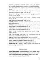 Referāts 'Nominālās vārdkopas 18.gadsimta tekstos', 38.