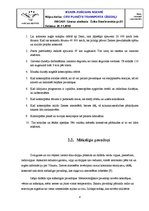 Referāts 'Transporta līdzekļi kosmosā', 8.