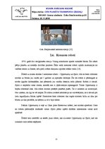 Referāts 'Transporta līdzekļi kosmosā', 11.